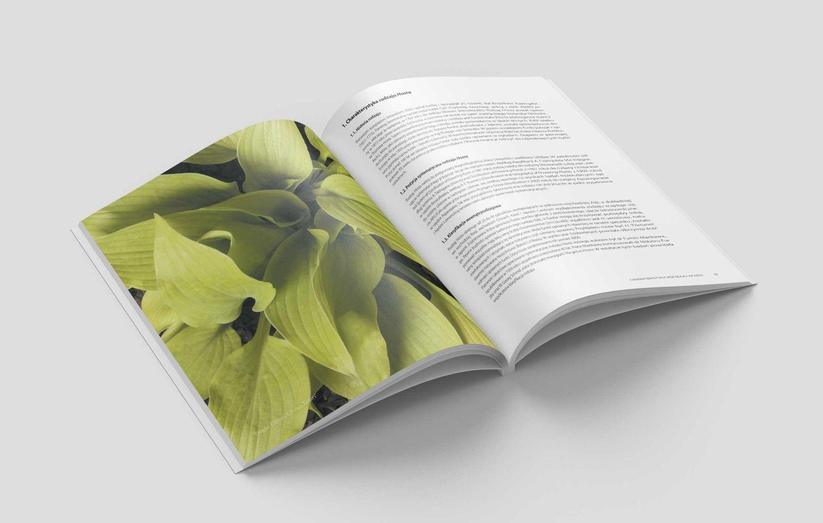 Projekt publikacji 12