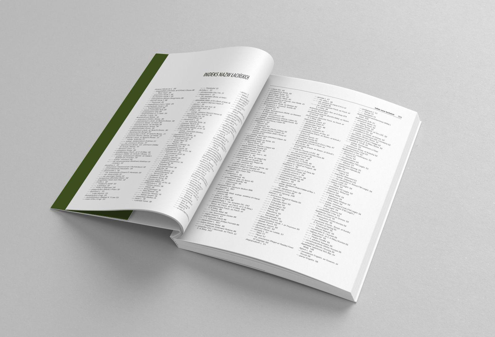 Projekt publikacji 8