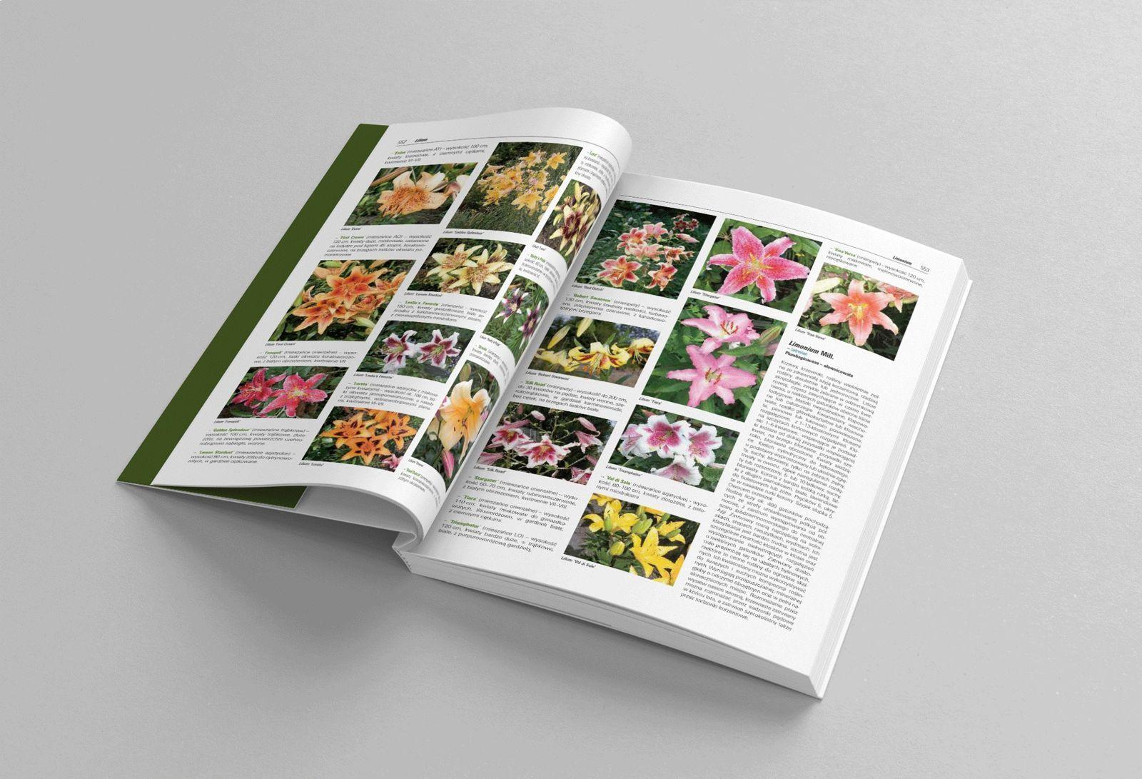 Projekt publikacji 9