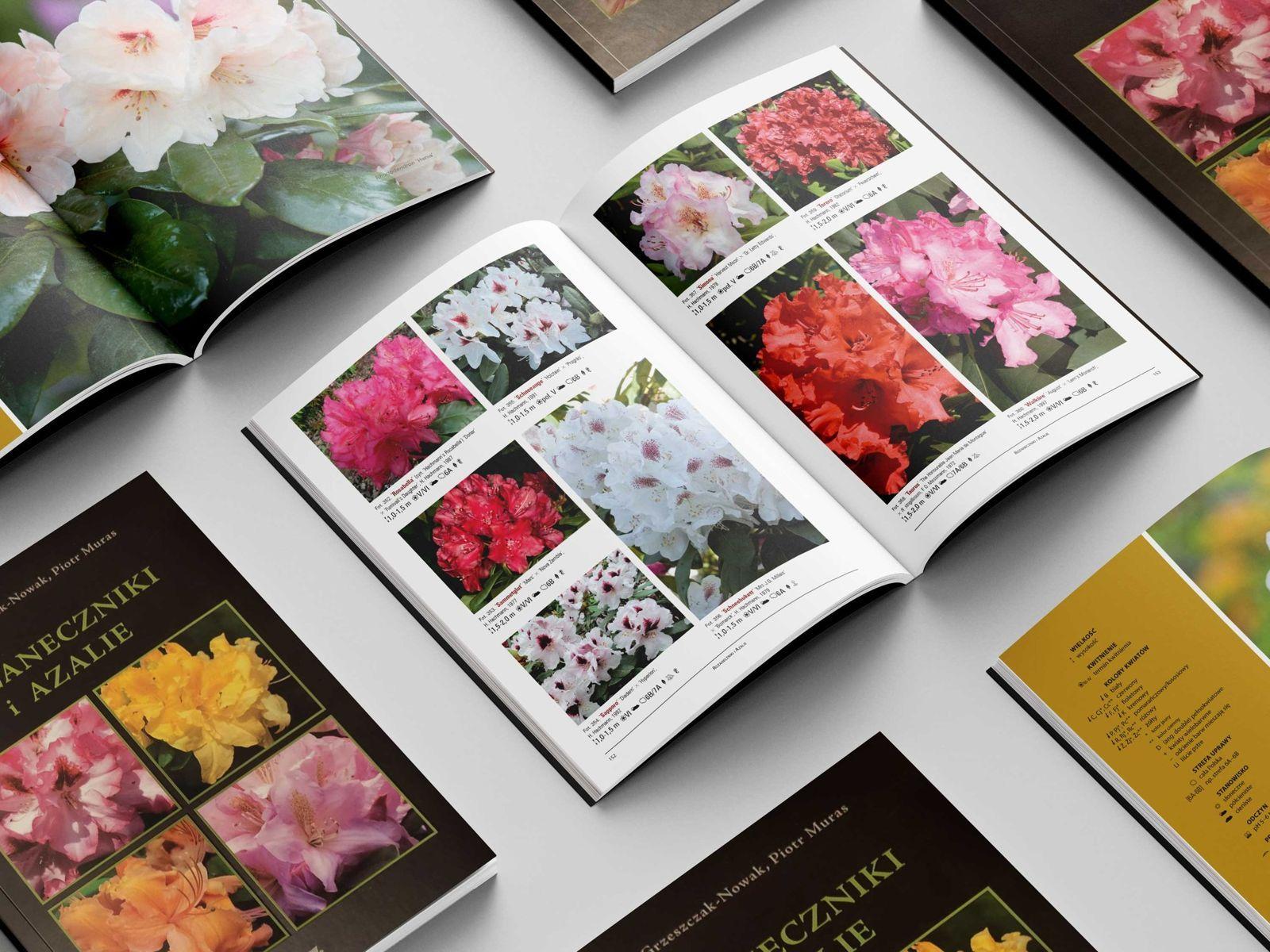 Projekt publikacji 10