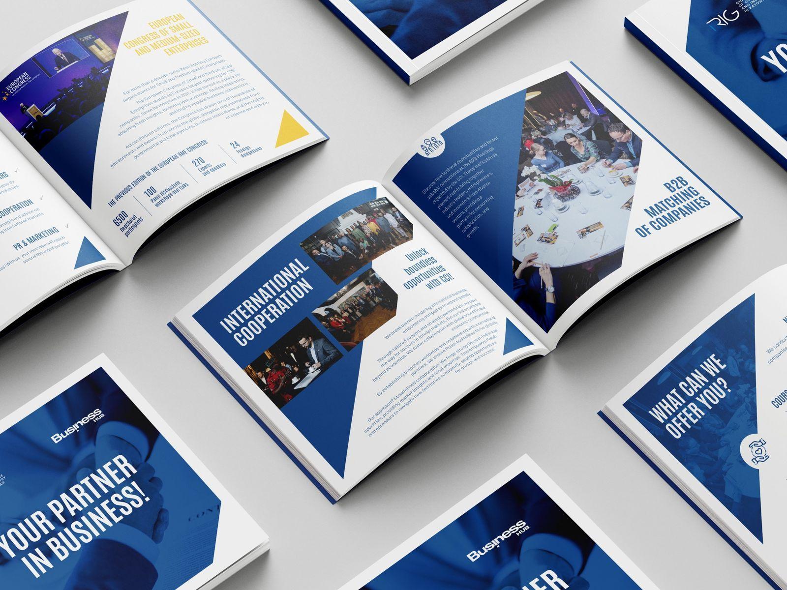 Projekt publikacji 3