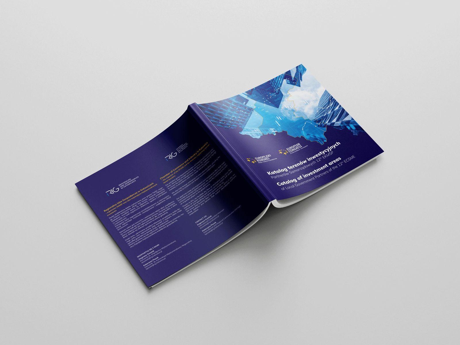 Projekt publikacji 4